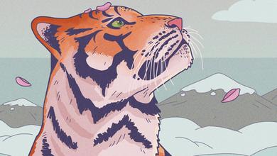 Lo-Fi Tigers