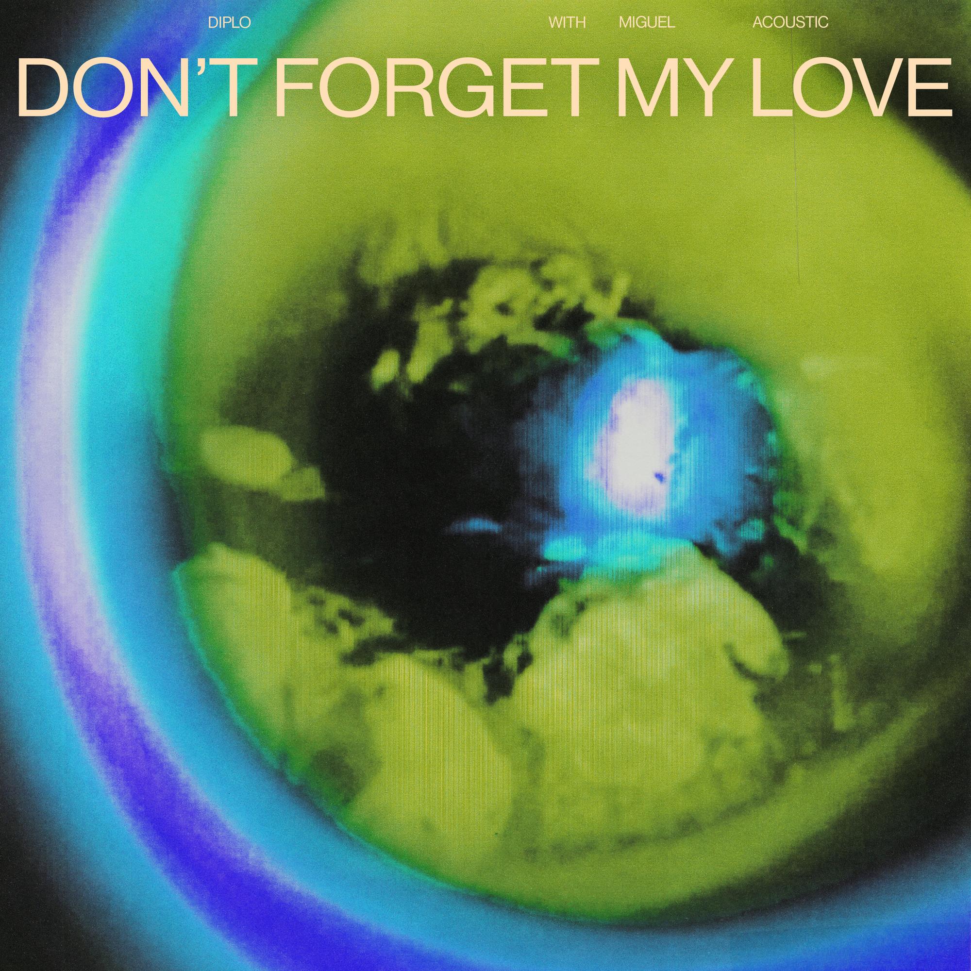Don't Forget My Love