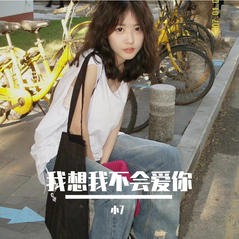 我想我不会爱你