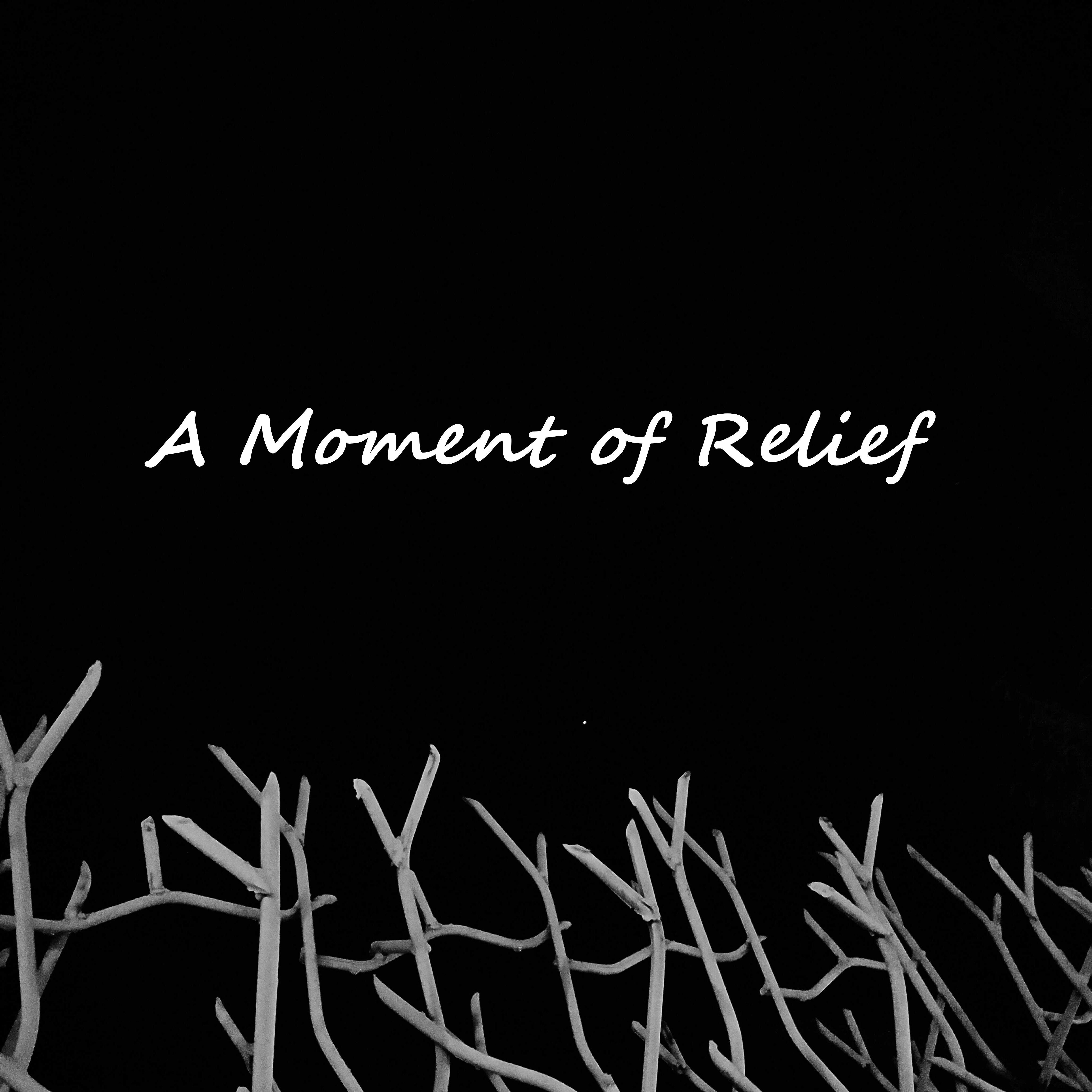 A Moment of Relief专辑