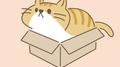 ねこの歌 ～ぼくはねこ～ (feat. 初音ミク)专辑