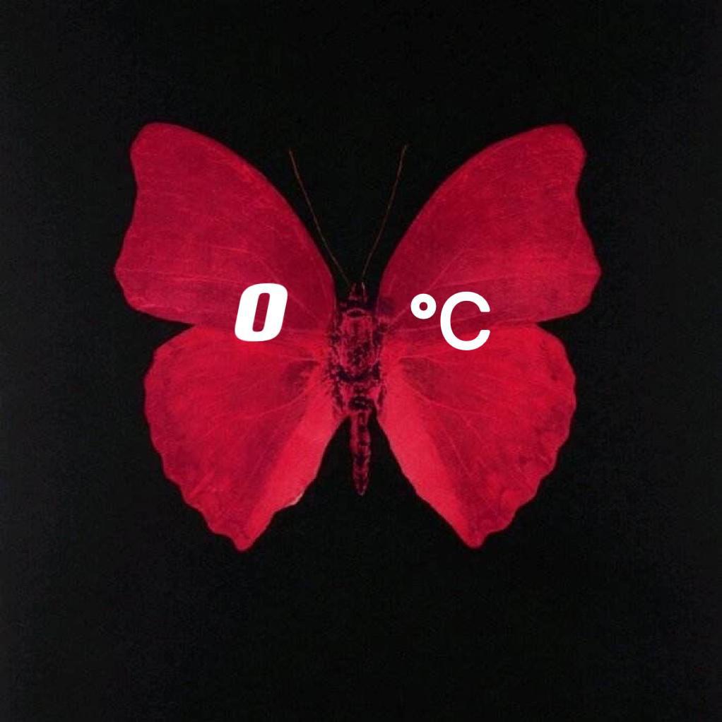 0℃￼