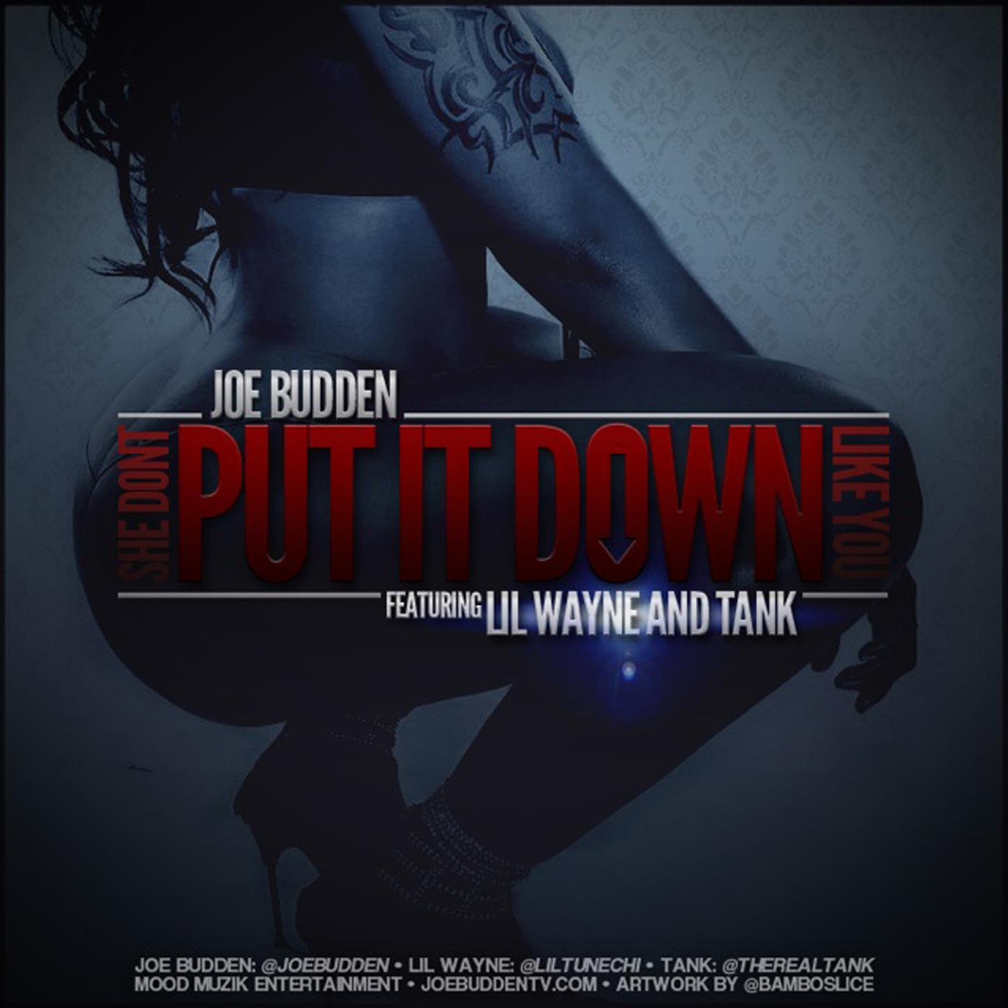 She Don't Put It Down feat. Lil Wayne, Tank