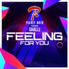 Planet Rock - Feeling for You