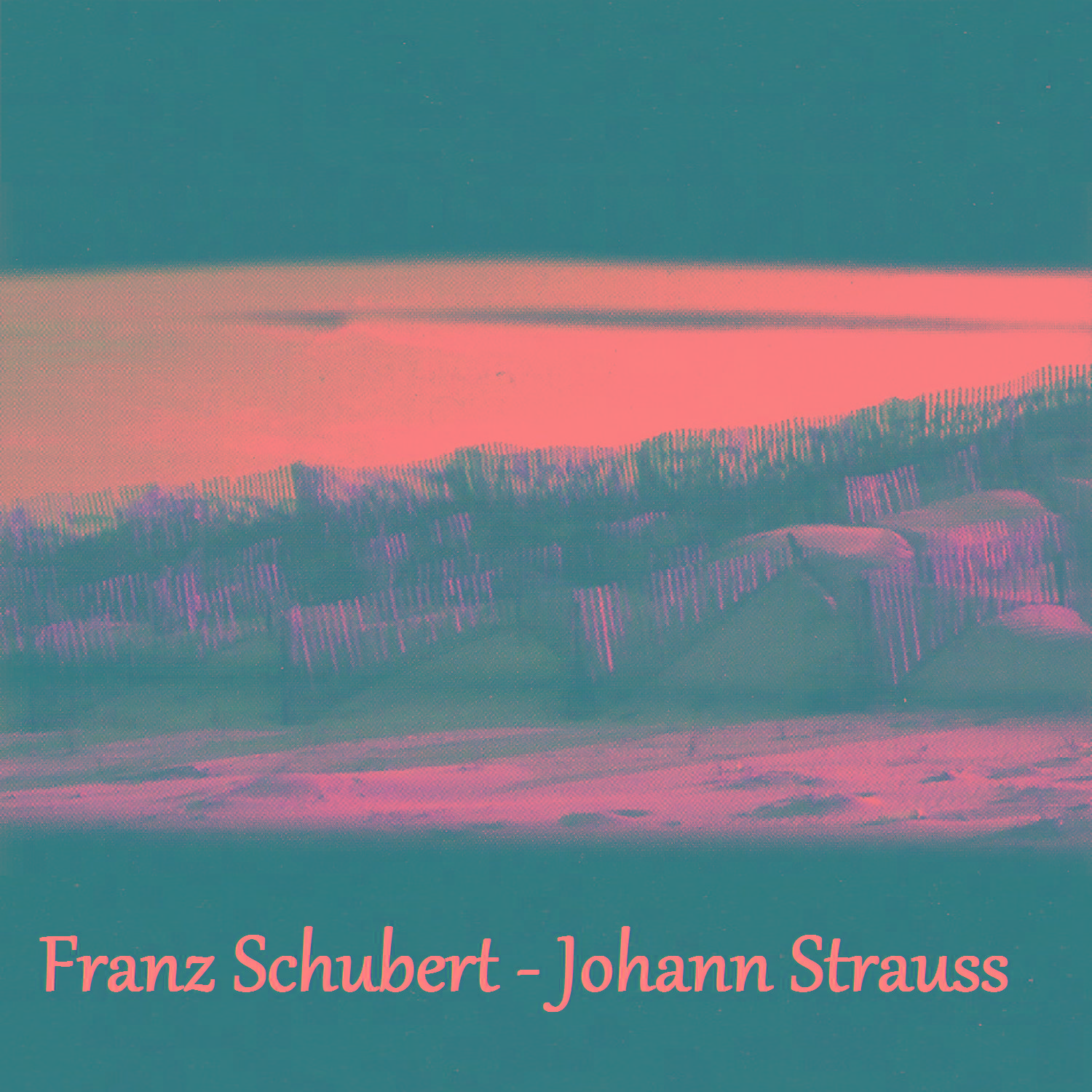 Franz Schubert - Johann Strauss专辑