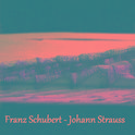 Franz Schubert - Johann Strauss专辑