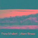 Franz Schubert - Johann Strauss专辑