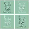 假兔子Fake Rabbit Vol.1专辑