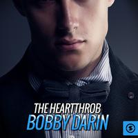 Bobby Darin - If I Were A Carpenter (PT karaoke) 带和声伴奏