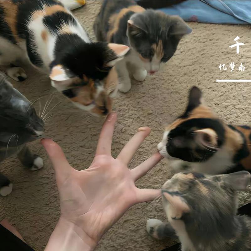 千