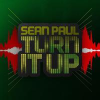 Turn It Up Sean Paul (unofficial instrumental)