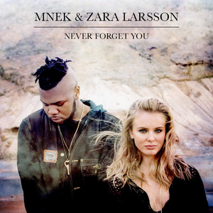 Never Forget You - Zara Larsson With Mnek (PT karaoke) 带和声伴奏 （升7半音）