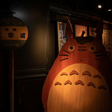 元气大龙猫