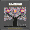 Dancepush Electro House Sampler (Fall 2012)