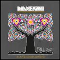 Dancepush Electro House Sampler (Fall 2012)专辑