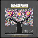 Dancepush Electro House Sampler (Fall 2012)专辑