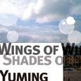 Wings Of Winter, Shades Of Summer