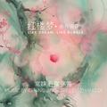 红楼梦：水月镜花