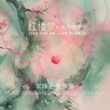 红楼梦：水月镜花专辑