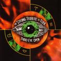 The String Tribute To Tool - Third Eye Open专辑