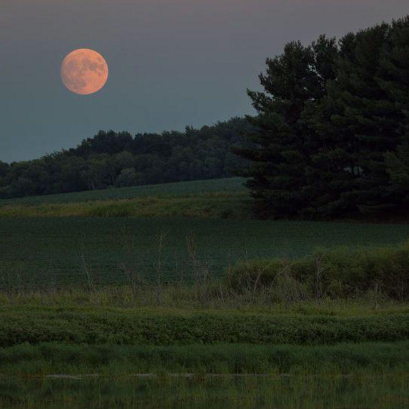 《E8r钢琴曲》夜晚的田埂
