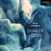 Bit20 Ensemble - Shaker Loops: II. Hymning Slews