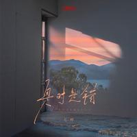是对是错