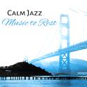 Calm Jazz Music to Rest – Soothing Piano Bar, Stress Relief, Chilled Music, Jazz Sounds专辑