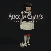 Check My Brain - Alice In Chains (karaoke)