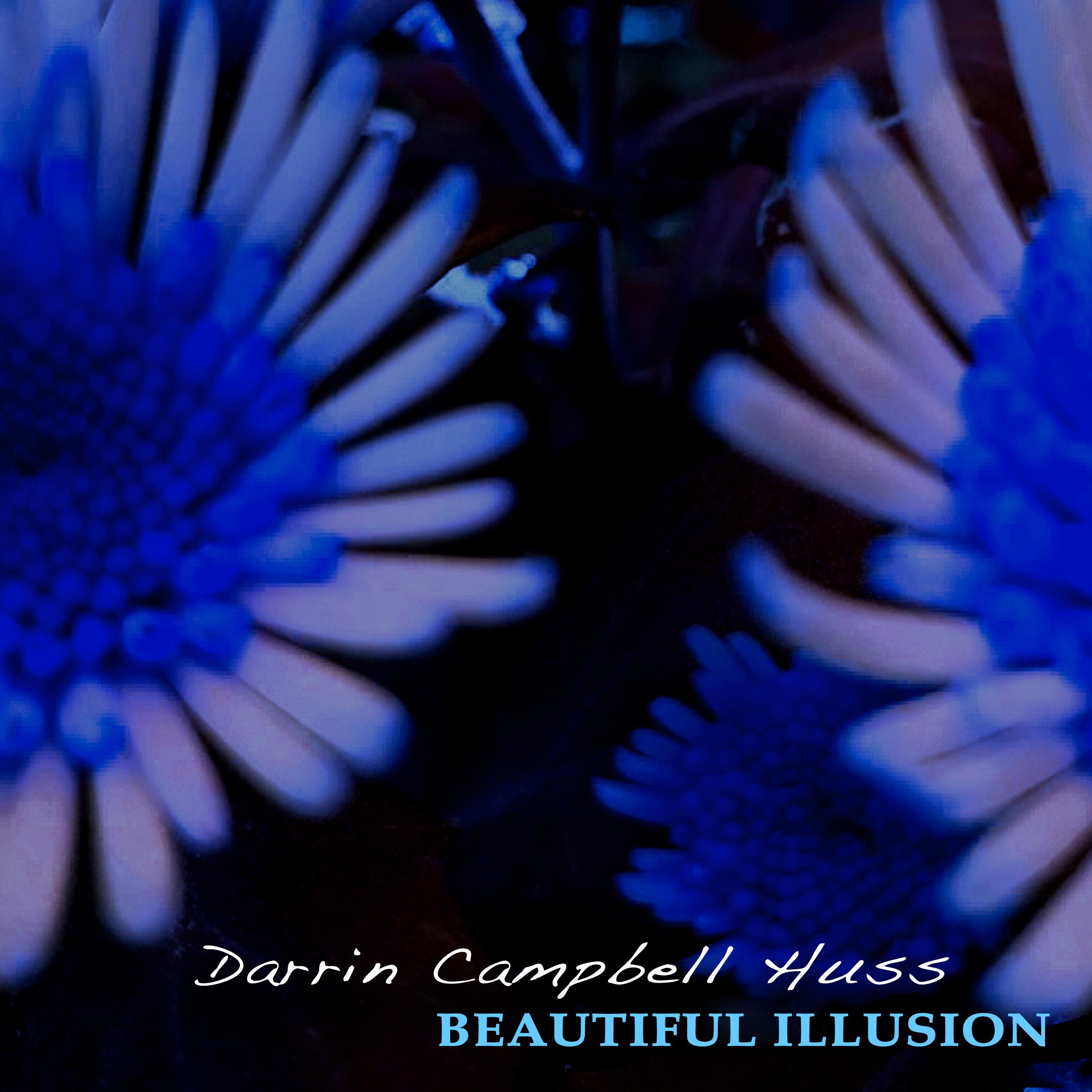 Beautiful Illusion