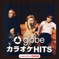 globe カラオケ HITS supported by DAM