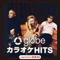 globe カラオケ HITS supported by DAM专辑