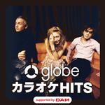 globe カラオケ HITS supported by DAM专辑