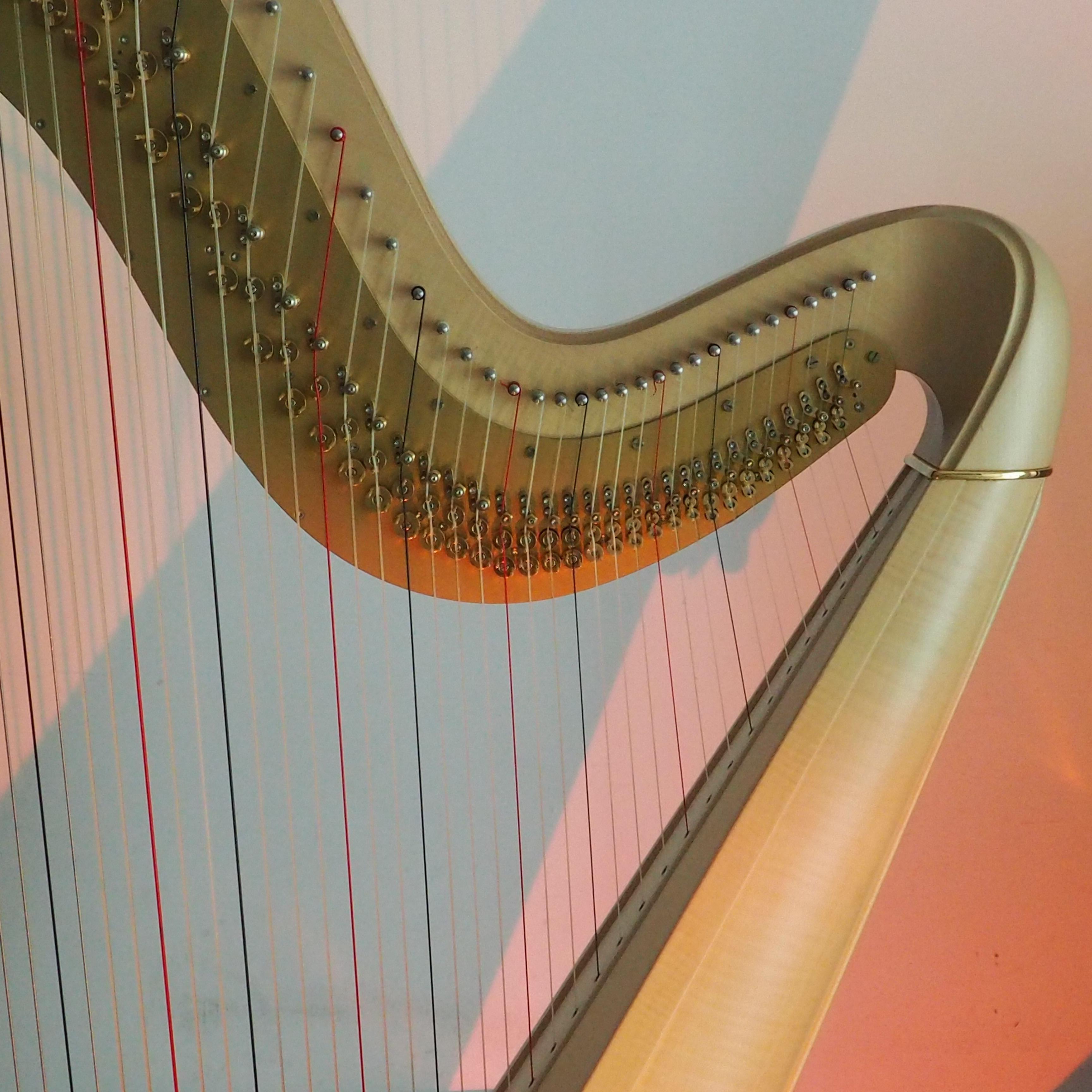 City of Stars 竖琴版