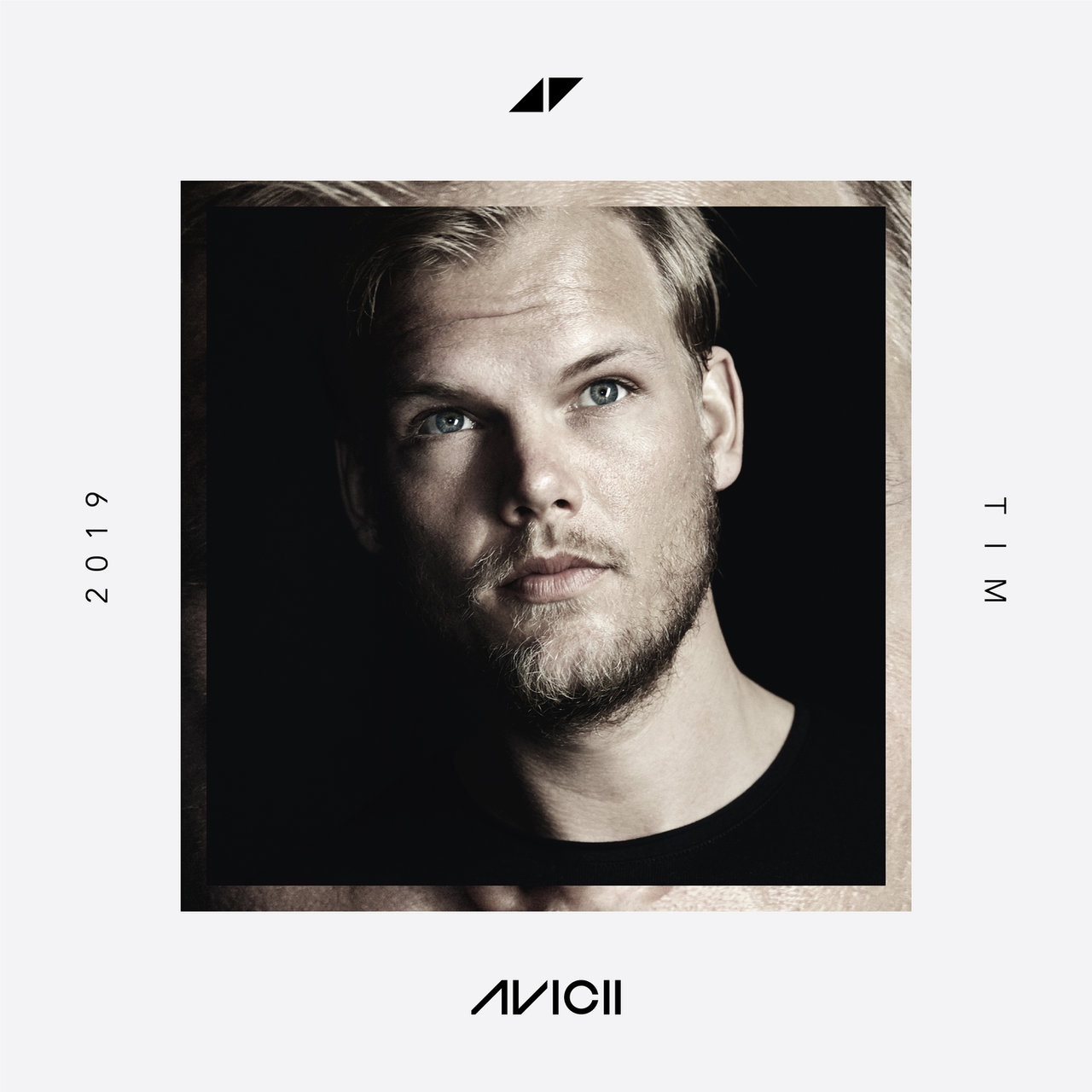 Avicii - Ain't A Thing