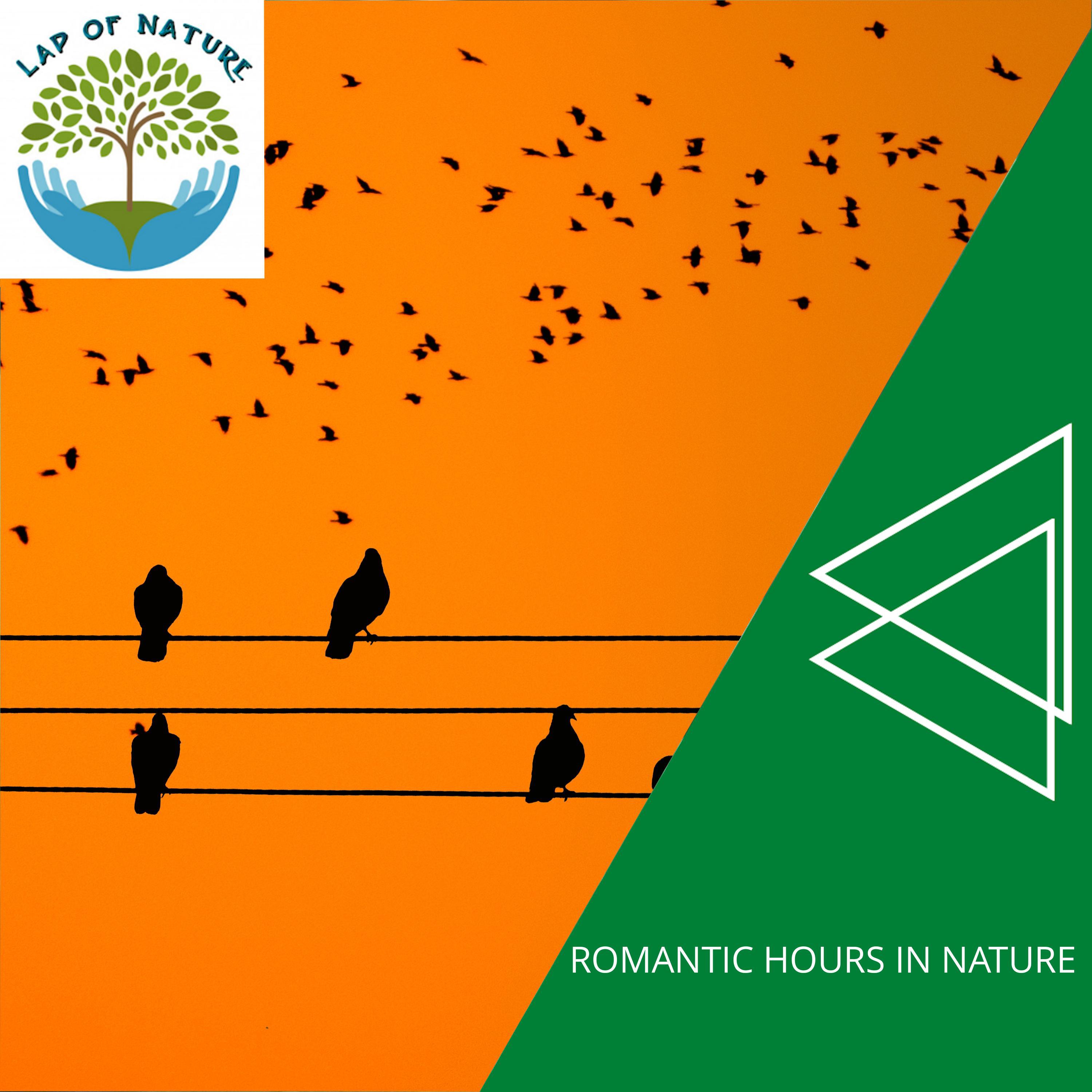 Natureland Mind Relaxing Music - Spend a Relaxing Time with Birds