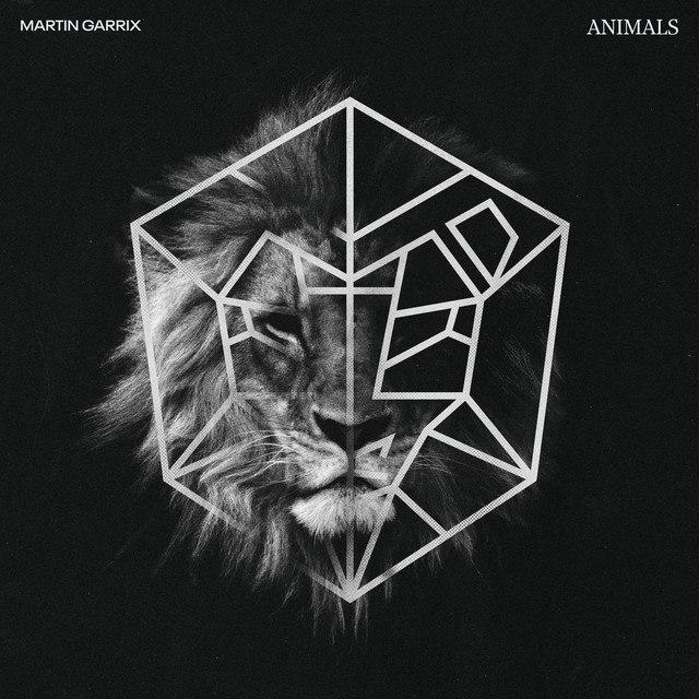 Animals (Lucas & Steve Flip)