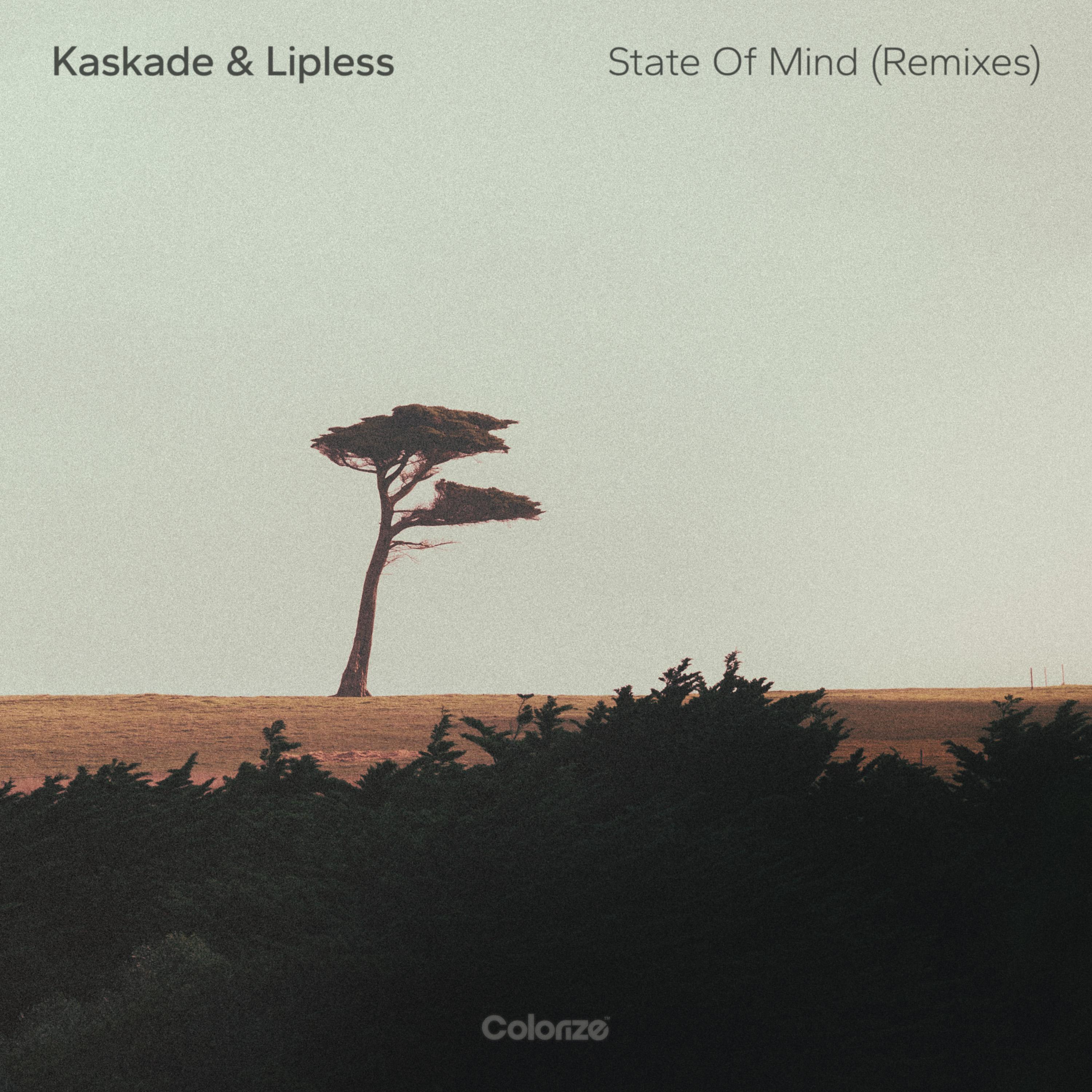 State Of Mind (Remixes)专辑