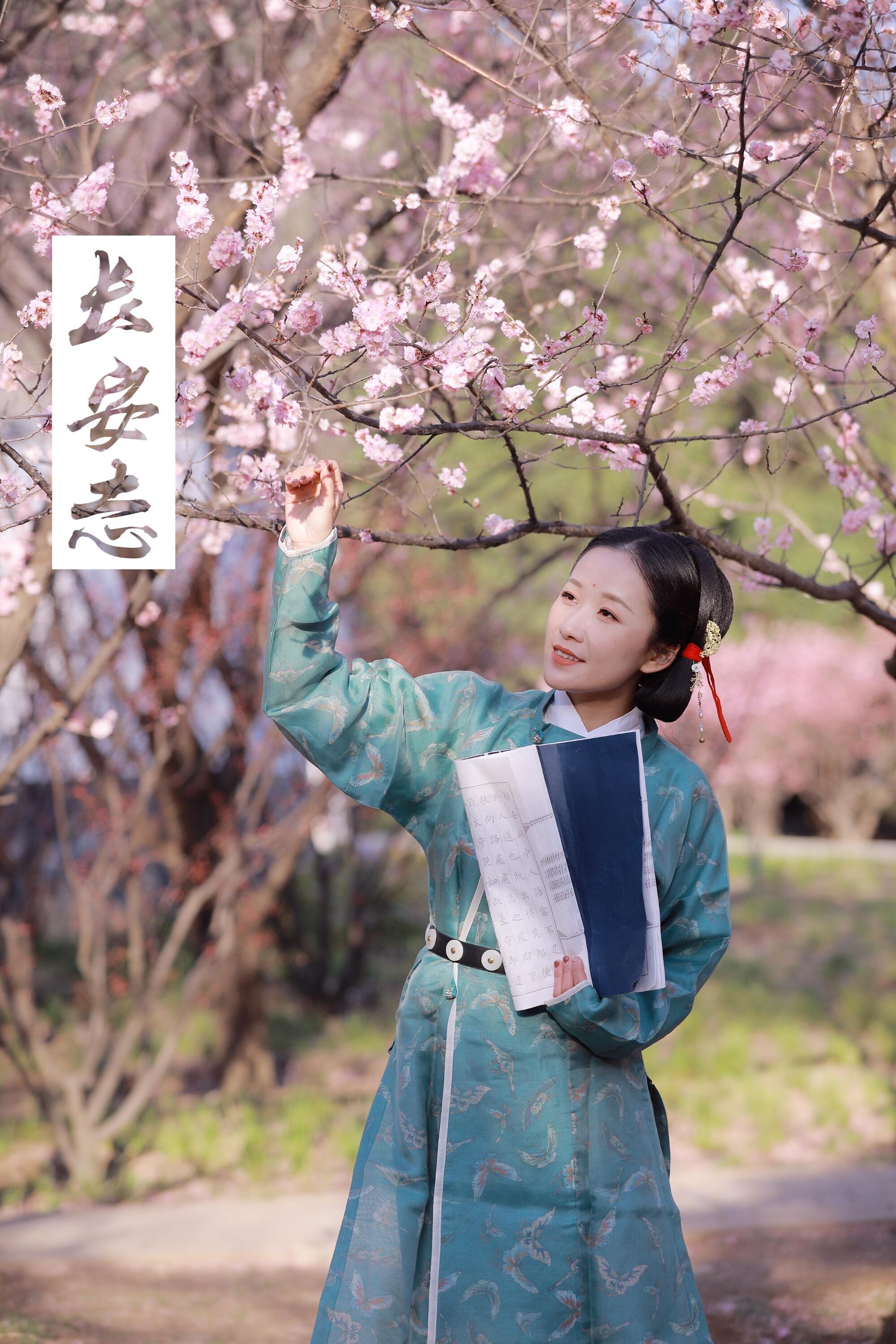 长安志