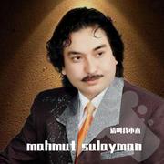 mahmut sulayman