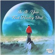 Is It You (feat. Harley Bird)