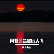 向往的是星辰大海