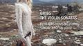 Grieg: Violin Sonatas - Hemsing: Homecoming专辑