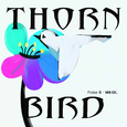 Thorn Bird