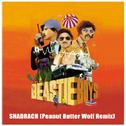 Shadrach (Peanut Butter Wolf Remix)专辑
