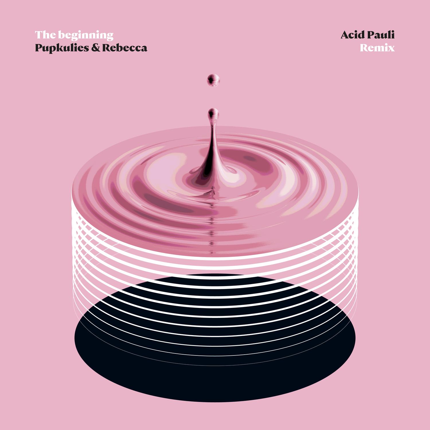 The Beginning (Acid Pauli Remix)