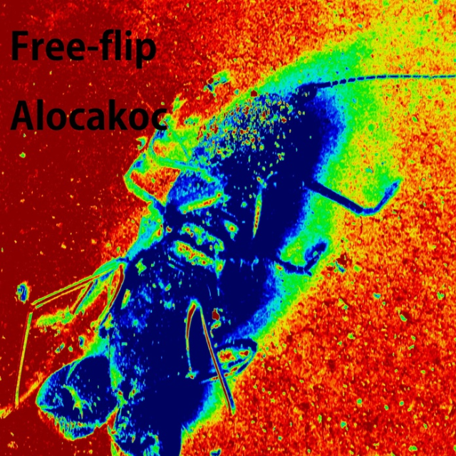 Free-flip