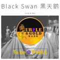 Black Swan 黑天鹅