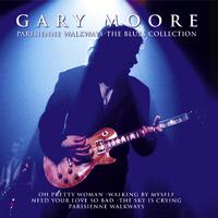 Gary Moore - The Sky Is Crying (karaoke)