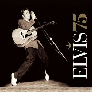 Elvis Presley - Heartbreak Hotel （降1半音）
